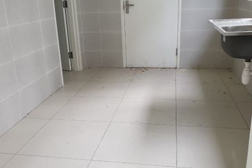 Tenderfields @ Eco Majestic