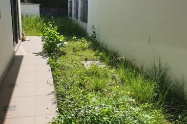 Tenderfields @ Eco Majestic