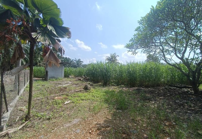 IJOK LAND Tepi Main Road Zonning Residential 