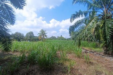 [TEPI MAIN ROAD] 1.5ekar Ijok Zoning Residential 