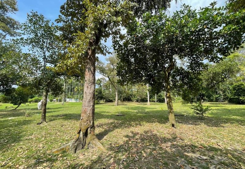 TANAH DUSUN 6 Ekar Hulu Selangor Antara Gapi