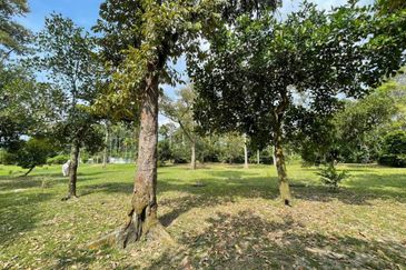 TANAH DUSUN 6 Ekar Hulu Selangor Antara Gapi