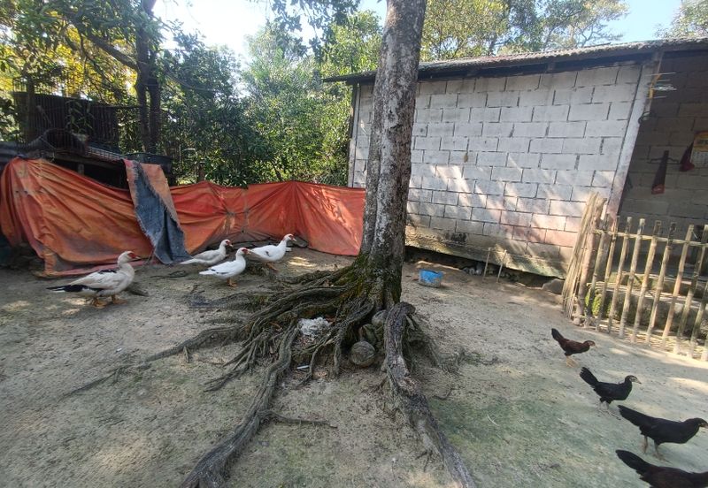 TANAH DUSUN 6 Ekar Hulu Selangor Antara Gapi