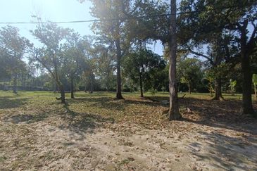 TANAH DUSUN 6 Ekar Hulu Selangor Antara Gapi