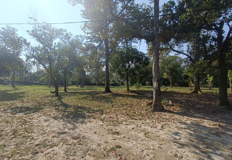 TANAH DUSUN 6 Ekar Hulu Selangor Antara Gapi