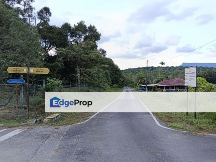 Ladang Sawit 2 Hektar untuk Dijual, Johor, Kota Tinggi