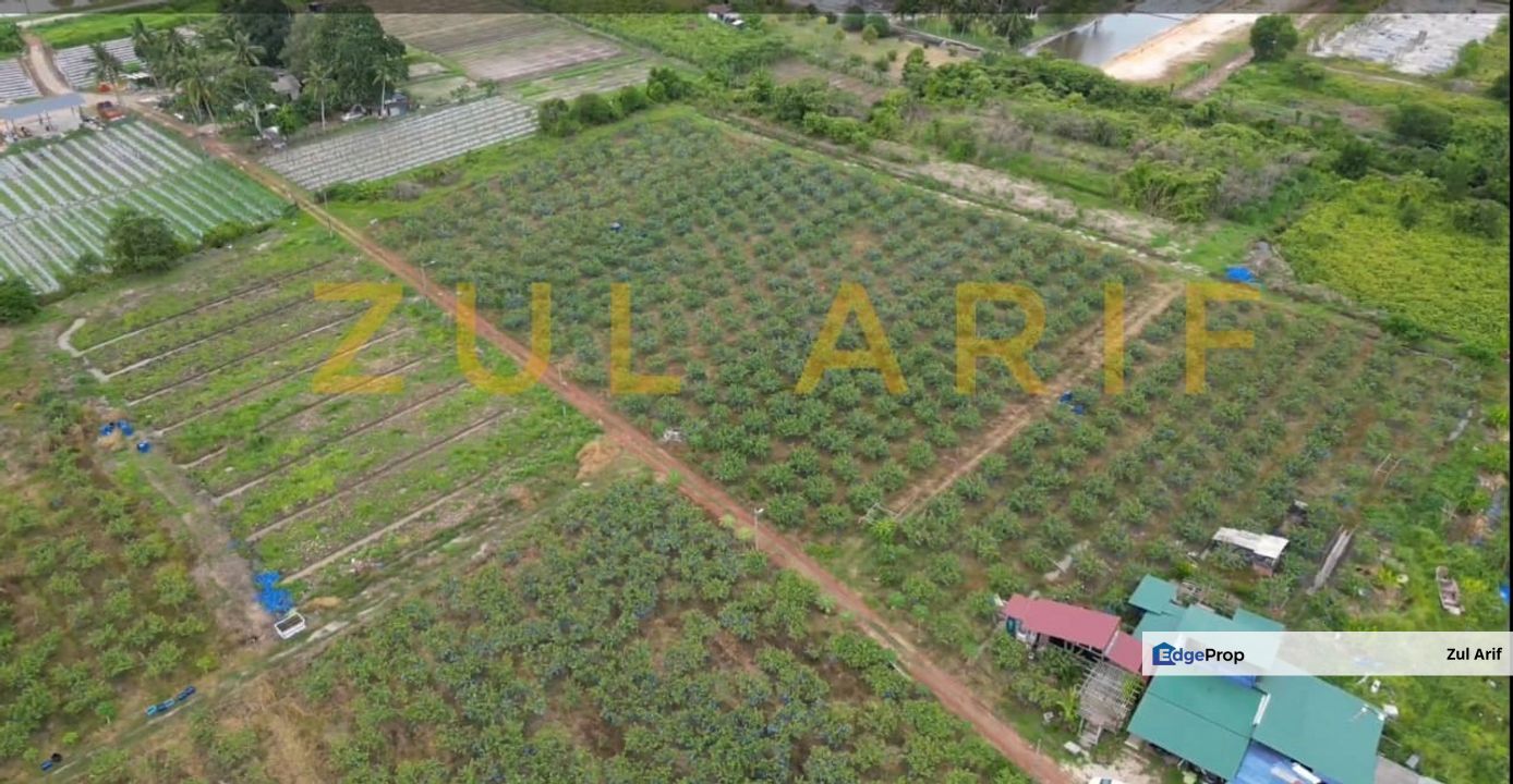 20 Ekar Tanah Pertanian Zoning Residential Klebang Besar, Melaka, Klebang