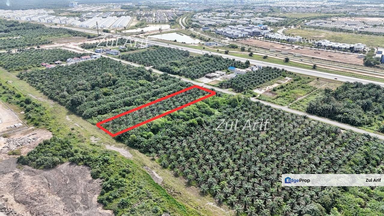 Tanah Pertanian Di Jenjarom, Tepi Jalan Utama For Sale, Selangor, Kuala Langat