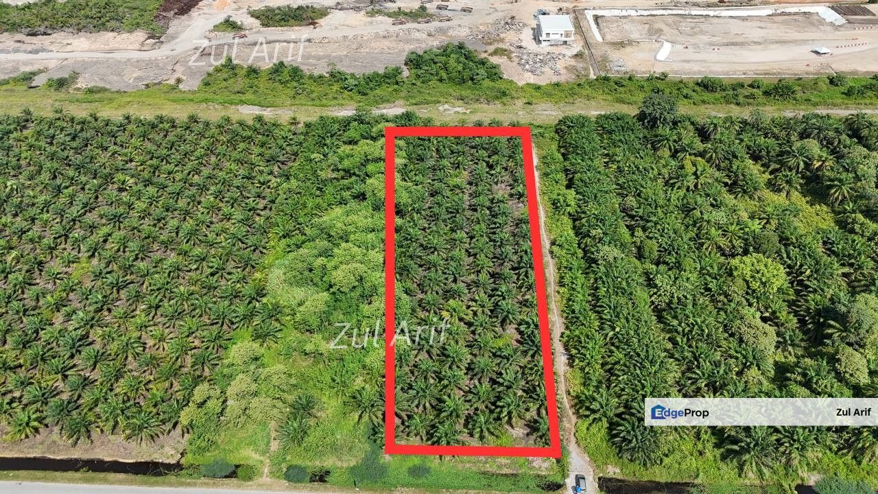 Tanah Pertanian Di Jenjarom, Tepi Jalan Utama For Sale, Selangor, Kuala Langat