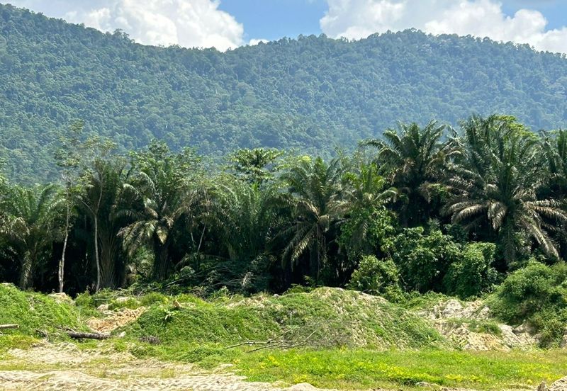 20 Acres Agriculture Land @ Chenderiang, Perak