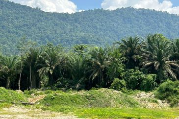 20 Acres Agriculture Land @ Chenderiang, Perak