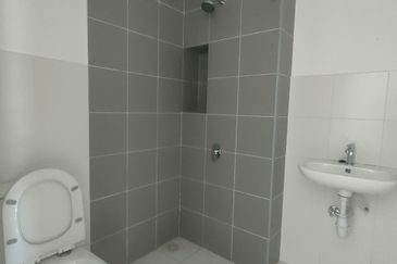 Hazelton @ Eco Forest 3