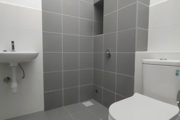 Hazelton @ Eco Forest 3