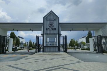 Hazelton @ Eco Forest 3