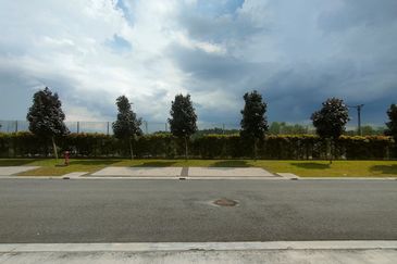 Hazelton @ Eco Forest 3