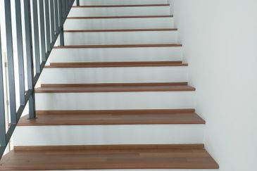 Hazelton @ Eco Forest 3