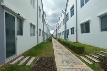 Hazelton @ Eco Forest 3