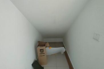 Hazelton @ Eco Forest 3