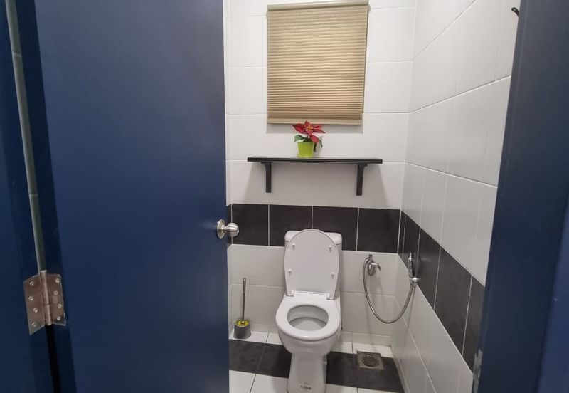 Brighton @ Eco Majestic