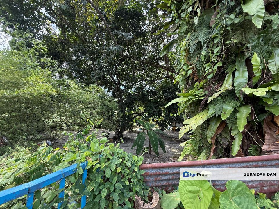 1.124 Acres Land with Big 2 Storey Bungalow @ Sungai Penchala, KL, Kuala Lumpur, Kampung Sungai Penchala