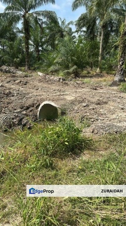 5.3 Acres Agriculture Land @ Bagan Datoh, Perak, Perak, Bagan Datoh