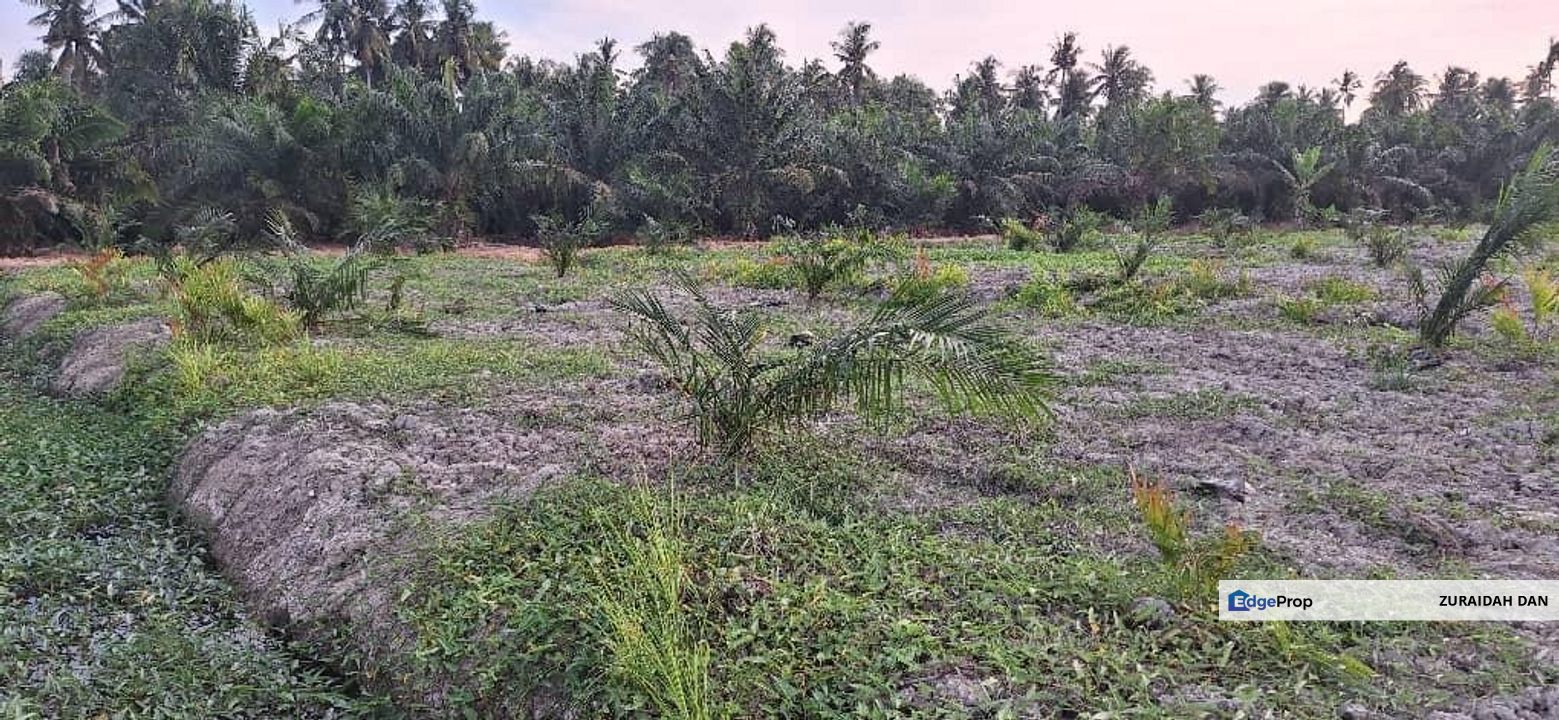 5.3 Acres Agriculture Land @ Bagan Datoh, Perak, Perak, Bagan Datoh