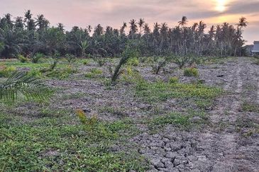 5.3 Acres Agriculture Land @ Bagan Datoh, Perak