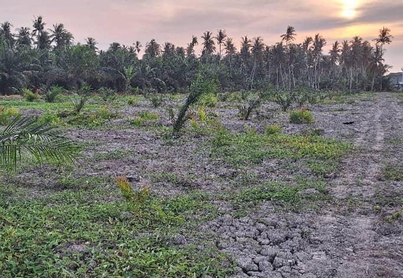 5.3 Acres Agriculture Land @ Bagan Datoh, Perak