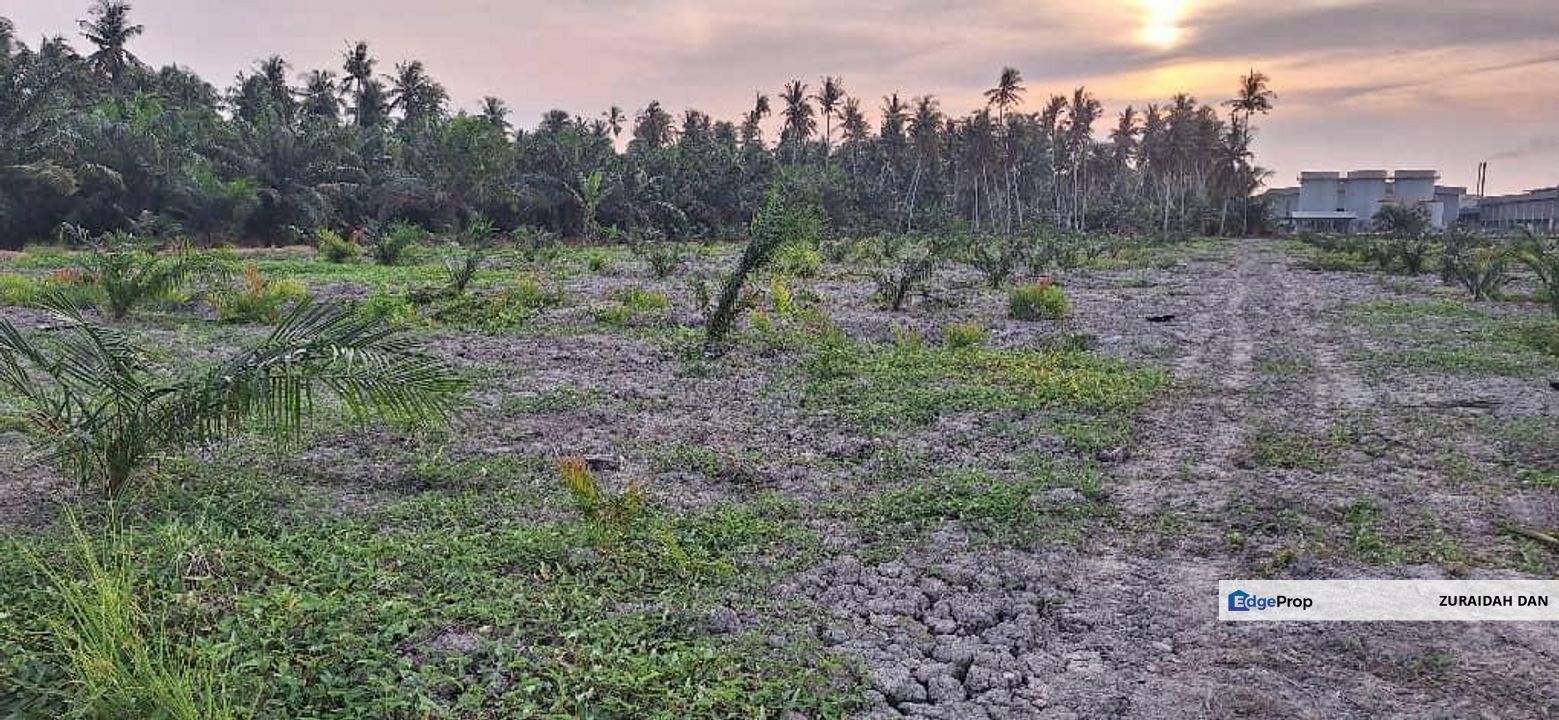 5.3 Acres Agriculture Land @ Bagan Datoh, Perak, Perak, Bagan Datoh