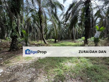 3.3458 Acres Agriculture Land @ Rancangan Tanah Kg Kota, Beruas, Manjung, Perak, Beruas