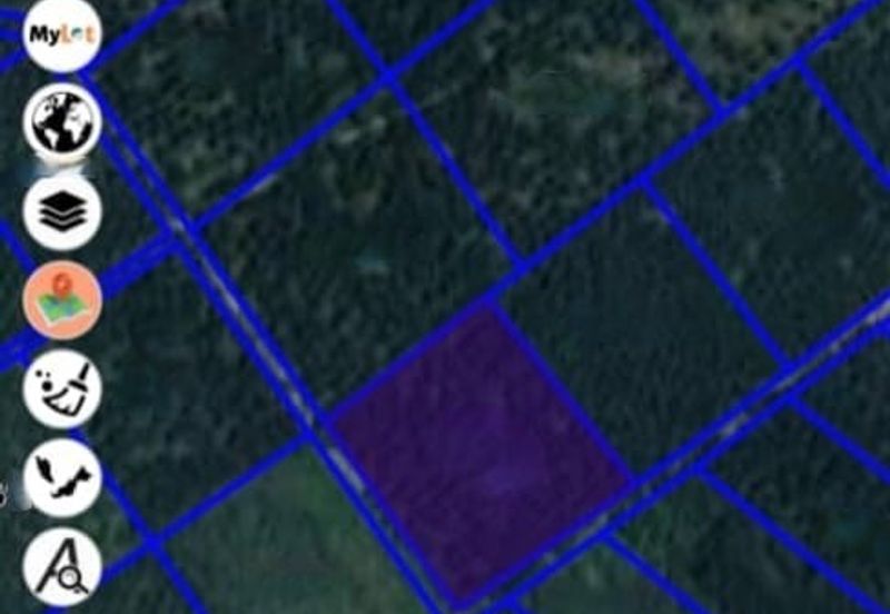 Beruas Perak Oil Palm Land