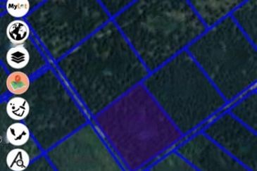 Beruas Perak Oil Palm Land