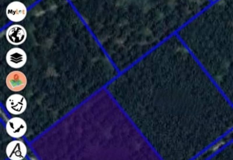 Beruas Perak Oil Palm Land