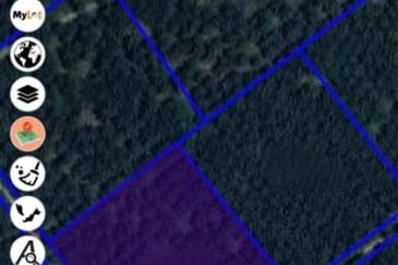 Beruas Perak Oil Palm Land