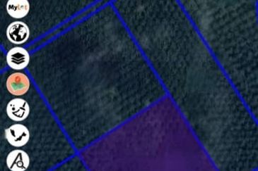 4.3787 Acres Agriculture Land @ Jalan Pepuyu, Bota, Perak Tengah