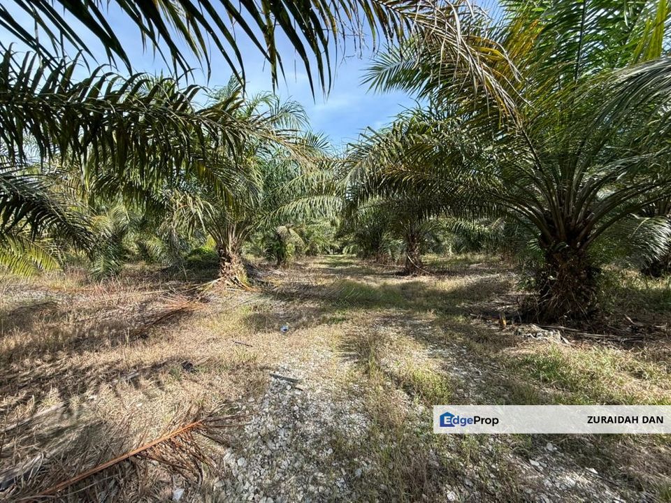 4.3787 Acres Agriculture Land @ Jalan Pepuyu, Bota, Perak Tengah, Perak, Bota