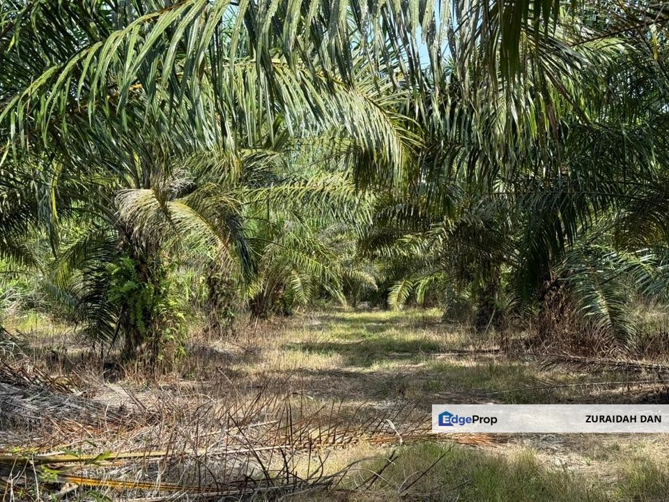 4.3787 Acres Agriculture Land @ Jalan Pepuyu, Bota, Perak Tengah, Perak, Bota