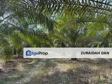 4.3787 Acres Agriculture Land @ Jalan Pepuyu, Bota, Perak Tengah, Perak, Bota