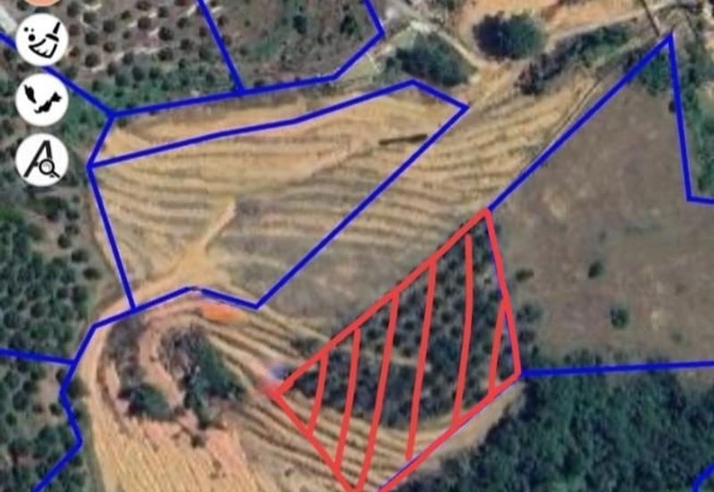 2.2686 Acres Agriculture Land @ Chenderiang, Batang Padang, Perak