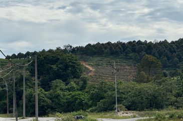 2.2686 Acres Agriculture Land @ Chenderiang, Batang Padang, Perak