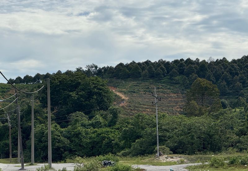 2.2686 Acres Agriculture Land @ Chenderiang, Batang Padang, Perak