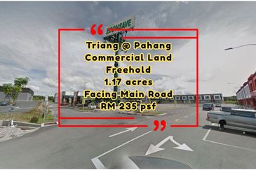 Mukim Triang Commercial Land For Sale Termeloh Freehold Next To Main Road