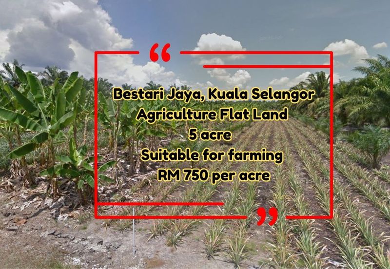 Flat Land For Rent Suitable for Farming or Storage Bestari Jaya Kuala Selangor