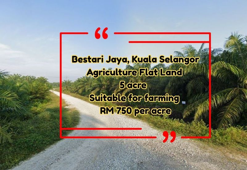 Flat Land For Rent Suitable for Farming or Storage Bestari Jaya Kuala Selangor