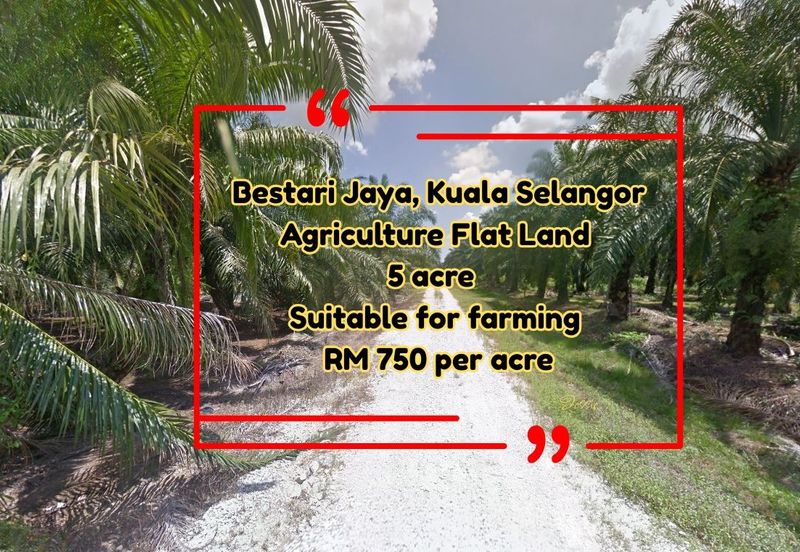 Flat Land For Rent Suitable for Farming or Storage Bestari Jaya Kuala Selangor