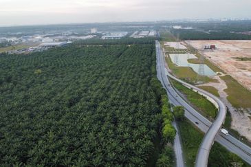 Banting @ Industrial