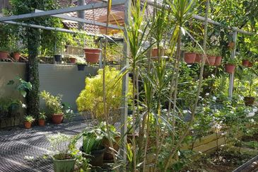 Damansara Heights (Bukit Damansara)