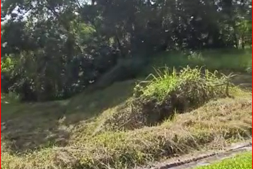 Damansara Heights (Bukit Damansara)