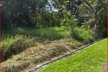 Damansara Heights (Bukit Damansara)