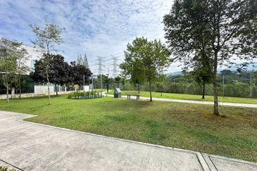 Ebonylane @ Eco Forest